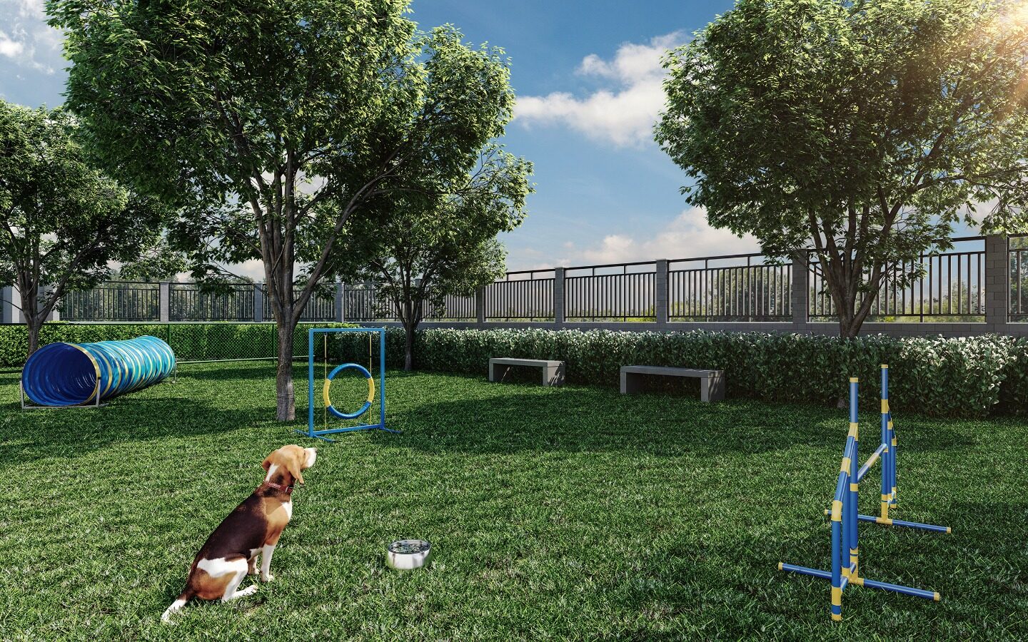 Pet place
