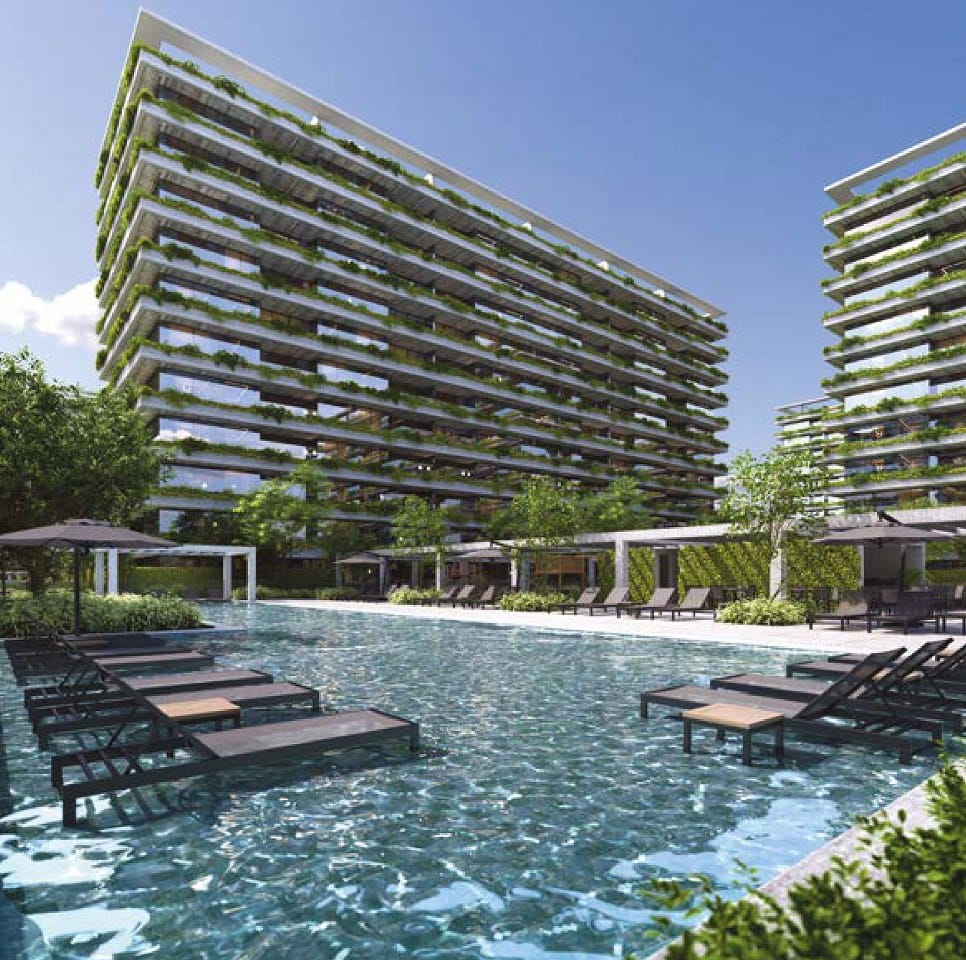 Arte Botanica, imagem 9