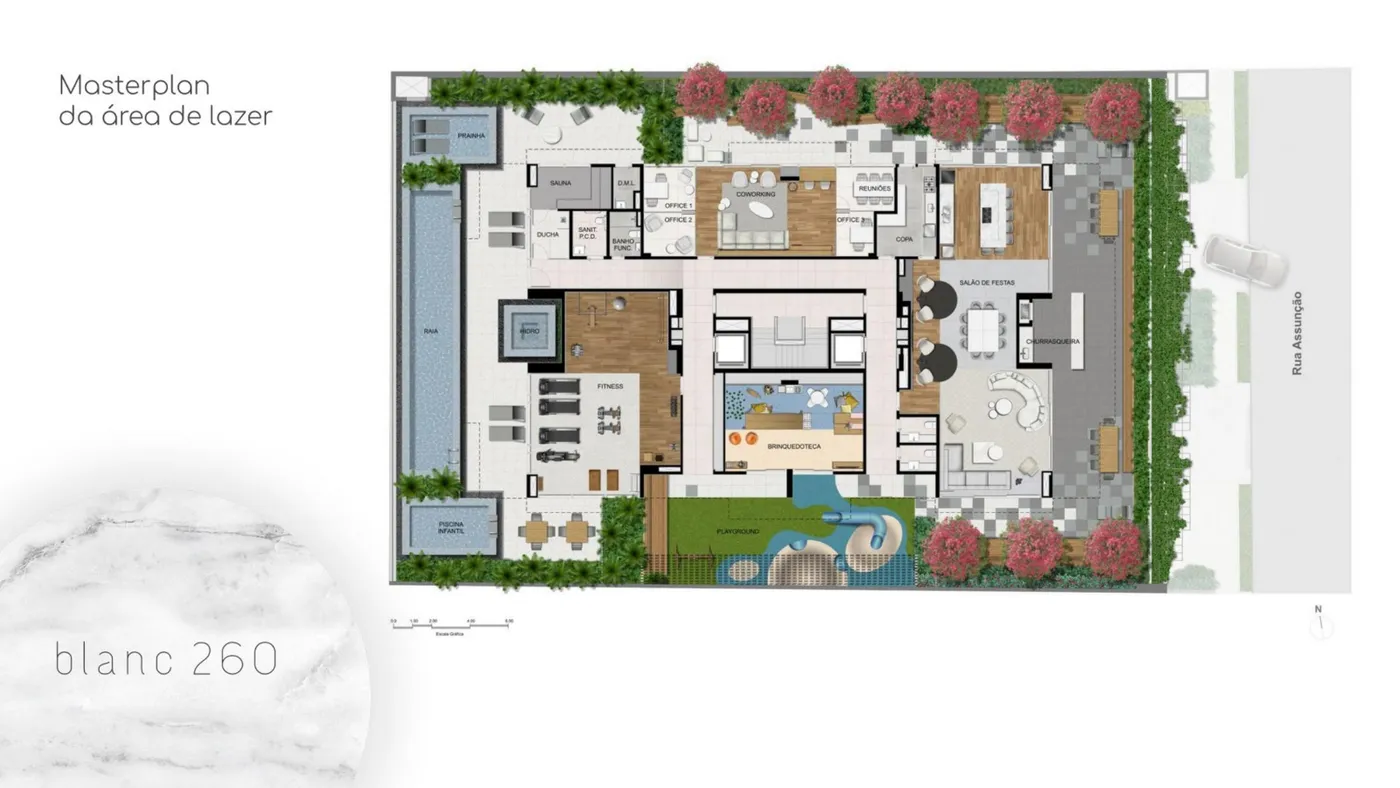 Planta do Blanc 260