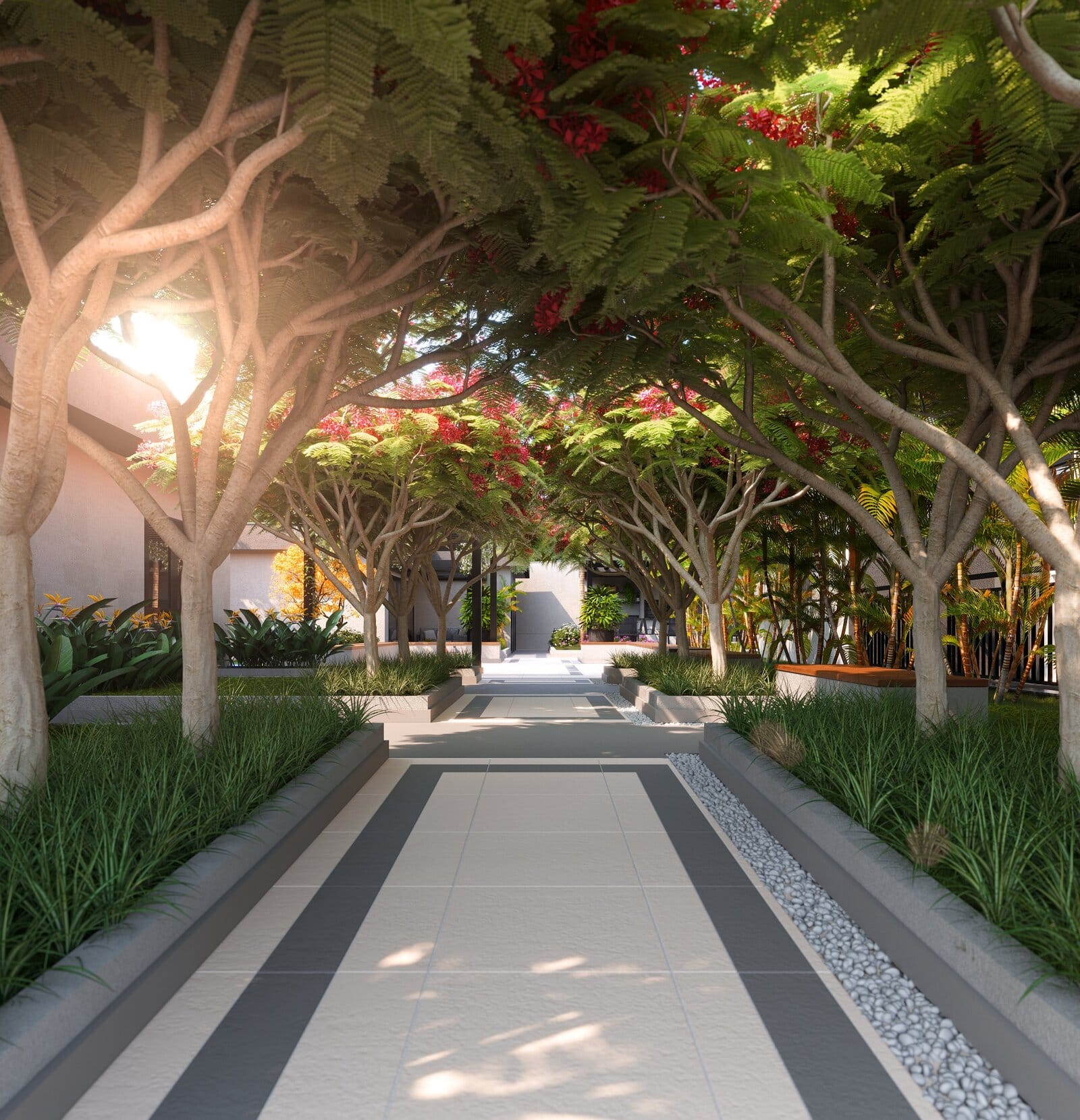 Living Wish Norte, imagem 3